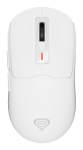 GENESIS NMG-2194 mouse Gaming Ambidextrous Bluetooth + USB Type-C Optical 26000 DPI
