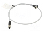 Cable: for sensors/automation | M12 | PIN: 4 | straight | plug | PVC