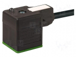 Connection lead | plug | Type: A | PIN: 4 | Contacts ph: 18mm | 4A | female
