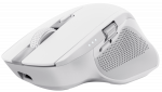 Computer mouse Trust Ozaa+ White
