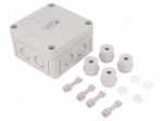 Enclosure: junction box | X: 94mm | Y: 94mm | Z: 57mm | polystyrene | IP54