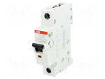Circuit breaker | 230VAC | Inom: 10A | Poles: 1 | DIN | Charact: C | 6kA
