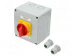 Switch: cam switch | Stabl.pos: 2 | 100A | 0-1 | Poles: 3 | Pos: 2 | IP65