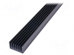 Heatsink: extruded | grilled | black | L: 1000mm | W: 66mm | H: 40mm
