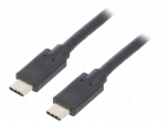 Cable | USB 3.1 | USB C plug,both sides | 2.5m | black
