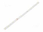 LED tape | white cold | 2835 | LED/m: 72 | 8mm | white PCB | IP20 | 3W/m