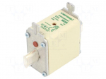 Fuse: fuse | 63A | 690VAC | aM | ceramic,industrial | NH00