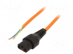 Cable | IEC C13 female,cables | 4m | with IEC LOCK locking | orange