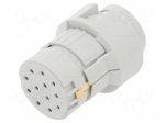 Connector: M23 | contact insert | PIN: 12 | female | crimped | for cable