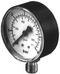 Pressure gauge D50-R 0-6bar 1/4" Italtecnica