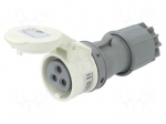 Connector: AC supply | plug | female | 16A | 24/42VDC | IEC 60309 | IP44