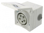 Connector: AC supply 3-phase | socket | female | 16A | 415VAC | Design
