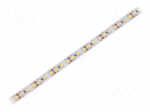 LED tape | white cold | 2835 | 12V | LED/m: 120 | 10mm | IP20 | 24W/m