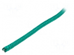 Rope | polypropylene | &Oslash;rope: 6mm | L: 50m | with a core | green