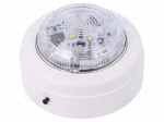 Signaller: lighting | flashing light | white | Series: Solista Maxi