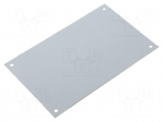 Front panel | aluminium | W: 98mm | L: 158mm | Series: CARDMASTER