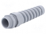 Cable gland | with strain relief | PG21 | IP68 | Mat: polyamide