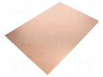 Laminate | FR4 | 0.6mm | L: 420mm | W: 297mm | Coating: copper
