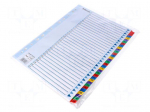 File dividers numbered | Label symbol: 1-31