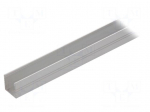 Profiles for LED modules | natural | L: 1m | SMART16 | aluminium