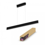 Philips Hue Ensis Hue piekarams gaismeklis melns 2x39W 24V 929003052501 8719514343368