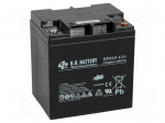 Re-battery: acid-lead | 12V | 28Ah | AGM | maintenance-free | 9.12kg