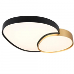 Ceiling lamp with remote RISE, 45W, 5300lm, 2700-6500K