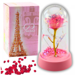 Dekoratiivne pidulik valgustus | J&otilde;uluvalgustus // LED j&otilde;ulukaunistused // Wieczna R&oacute;ża Kryształowa w Kopule z Oświetleniem LED R&oacute;żowa 14x8cm