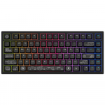 Dark Project ALU81A Terra Nova Black, G3MS Moonstone Switch, RU