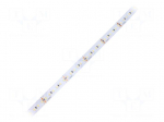 LED tape | white cold | 2216 | LED/m: 180 | 8mm | white PCB | IP20 | 120&deg;