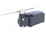 Limit switch | adjustable plunger, length R 19-116mm | NO + NC
