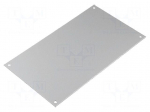 Front panel | aluminium | W: 117mm | L: 205mm | Series: CARDMASTER
