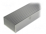 Heatsink: extruded | grilled | natural | L: 1000mm | W: 100mm | H: 60mm