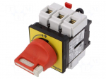 Main emergency switch-disconnector | Poles: 3 | 63A | TeSys VARIO