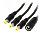 Cable | DC 5,5/2,1 socket,DC 5,5/2,1 plug x3 | straight | 0.5mm2