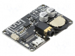Module robotics: audio | amplifier | 3.7&divide;24VDC | Bluetooth: 5.0,BLE