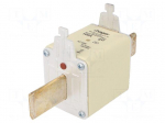 Fuse: fuse | 100A | 500VAC | gG | industrial | NH3C