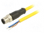 Cable: for sensors/automation | M12 | PIN: 4 | straight | 10m | plug
