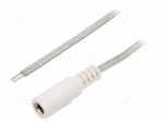 Cable | 2x0.5mm2 | wires,DC 5,5/2,5 socket | straight | transparent