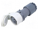 Connector: AC supply | plug | female | 32A | 24/42VDC | IEC 60309 | IP44