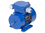 Motor: AC | 1-phase | 0.06kW | 230VAC | 1410rpm | 0.41Nm | IP54 | 0.65A