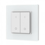 PF1-2(G) RF Remote Control, Single Color, 2 Zones