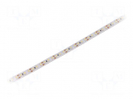 LED tape | white cold | 3528 | 12V | LED/m: 120 | 10mm | IP20 | 9.6W/m