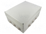 Enclosure: junction box | X: 300mm | Y: 120mm | Z: 220mm | wall mount