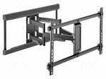 Holder | for wall mounting | 60kg | 37&divide;80" | black | Arm len: 536mm