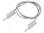 Test lead: single | 60VDC | 30VAC | 32A | Len: 1m | grey | brass | PVC