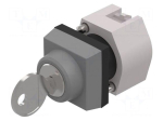 Switch: rotary with key | 22mm | Stabl.pos: 2 | silver | none | IP65