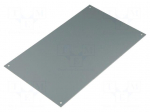 Front panel | aluminium | W: 150mm | L: 250mm | Series: CARDMASTER