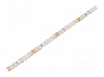 LED tape | white neutral | 2835 | 12V | LED/m: 60 | 8mm | IP65 | 12W/m