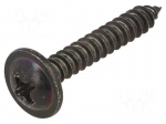 Screw | 100pcs | 25mm | steel | black | Thread: 3,9